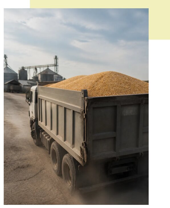 Перевозка сельхозпродукции навалом в Горячего Ключ по цене от 3100 р. | Агросервис-Грч